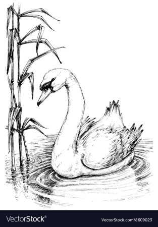 Дмитрий Наркисович приемыш