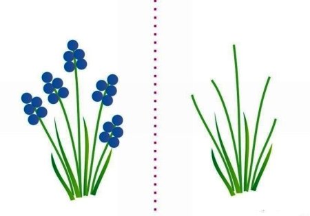 Пальчиковое рисование цветы