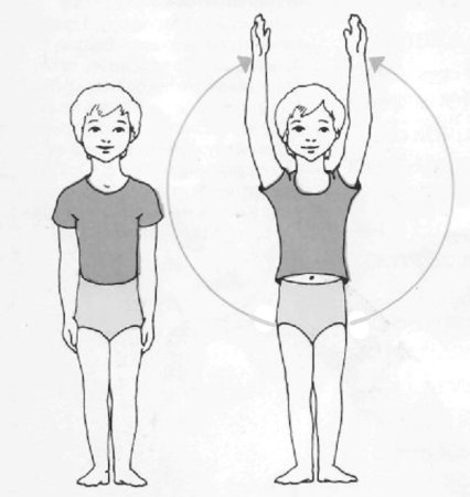 Поднять руки через стороны вверх