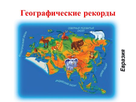 Материки для дошкольников