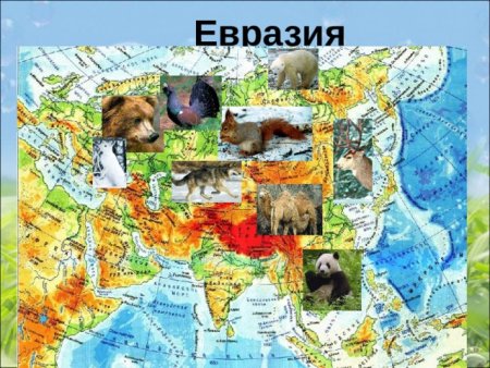 Карта животных Евразии