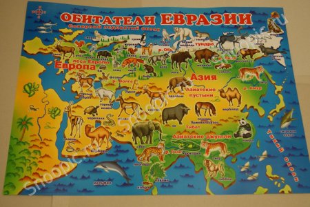 Животные по континентам для детей