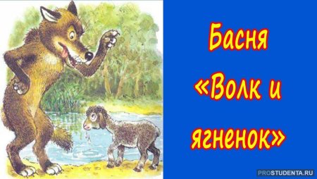 Волк тащит ягненка