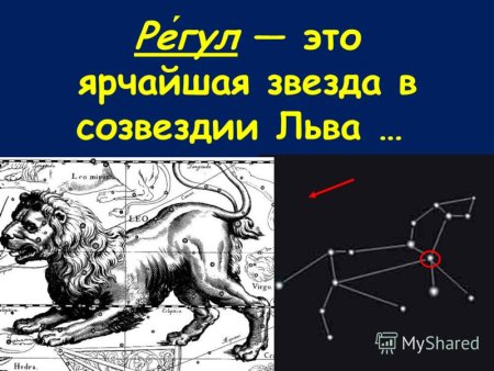 Созвездие Лев схема созвездия