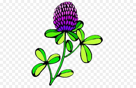 Рисование с малышами лекарственные растения