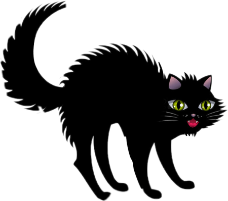 Взъерошенная черная кошка