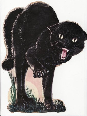 Грустный котик