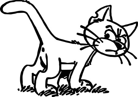 Чёрный кот