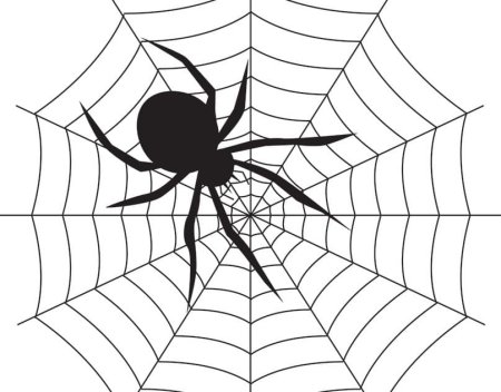 Паук рисунок