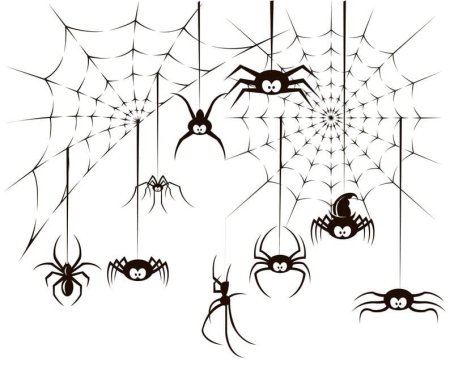 Паук на паутине раскраска