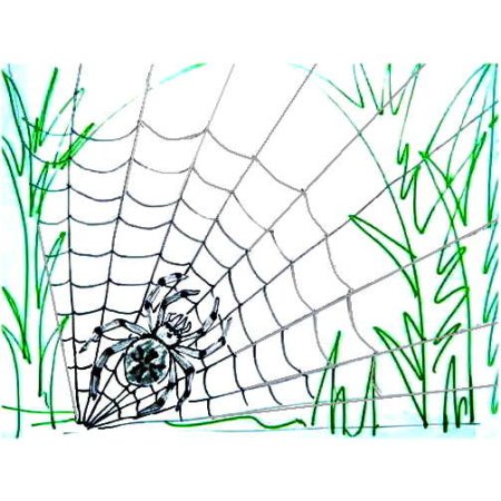 Рисование паутины с детьми