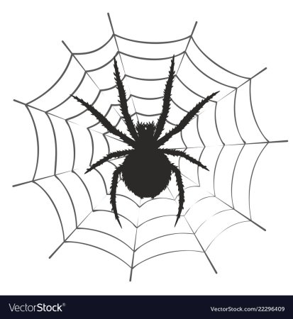 Паук и паутина для детей