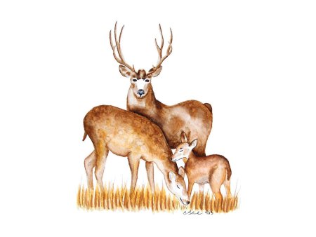 Животные детские олень