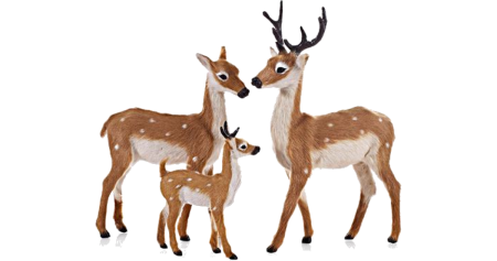 Семья оленей