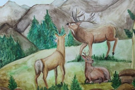 Семья оленей рисунок
