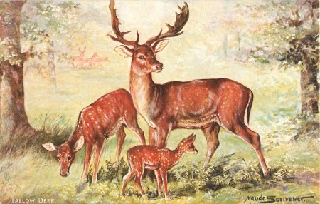 Картины с олениха с оленятами