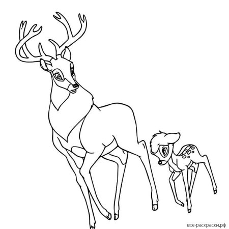 Олениха раскраска
