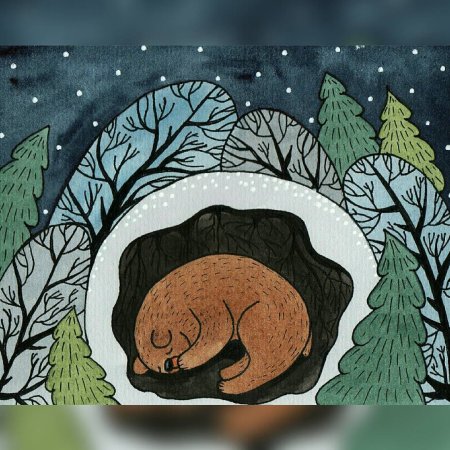 Рисование медведь в берлоге