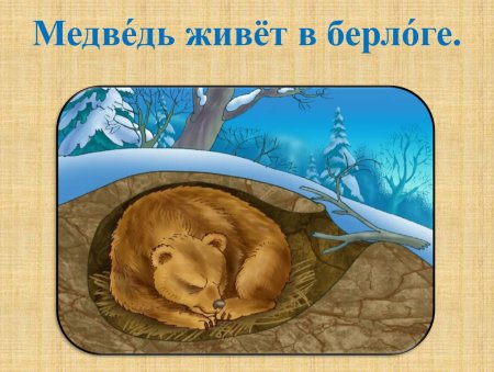 Животные в спячке зимой для детей