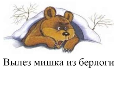 Медведь вылезает из берлоги
