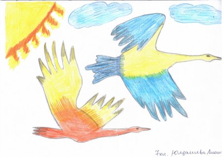 Типы стай перелетных птиц