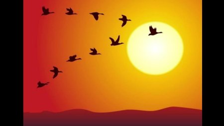 Перелетные птицы картина