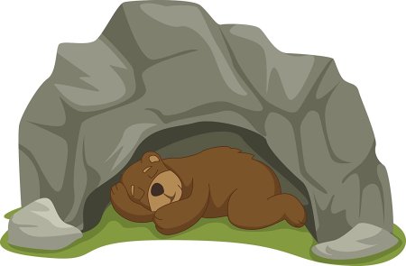 Медведь спящий в берлоге гифка