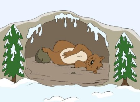 Медведь в берлоге для детей