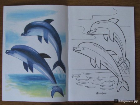 Обитатели рек морей и океанов рисунок