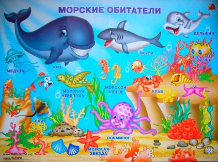 Морские обитатели задания