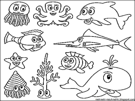 Рисование на тему морские обитатели Дельфин для детей