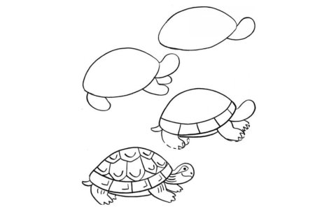 Черепаха рисунок карандашом