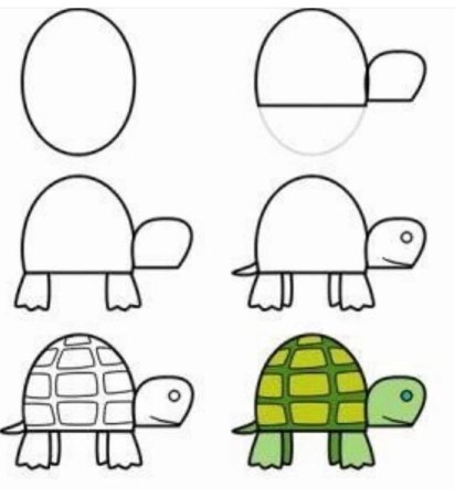Поэтапное рисование черепахи