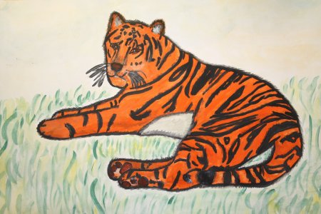 Рисунок Амурского тигра
