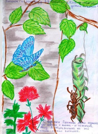 Рассказы Бианки рисунки для детей