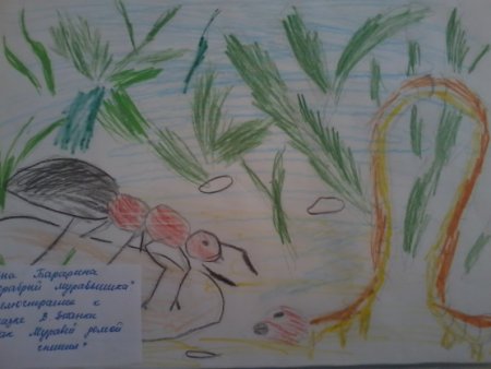 Рисунки по произведениям Бианки