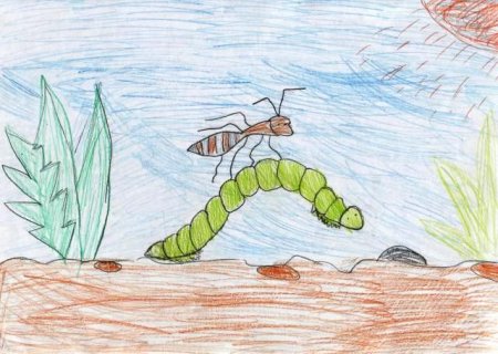 Рисунки по сказкам Бианки на конкурс