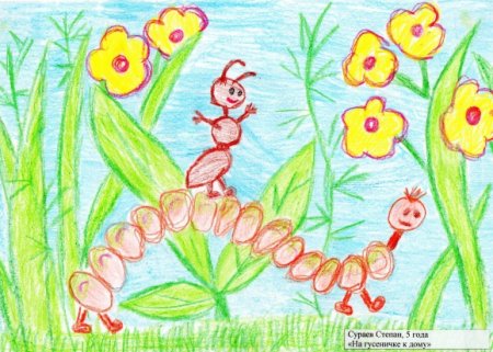 Бианки муравьишка домой спешил