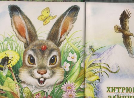 Приключения муравьишки Бианки гусеница