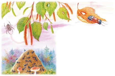 Сказка музыкант Бианки