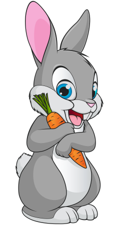 Банни рэббит