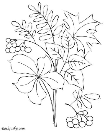 Осенний букет раскраска