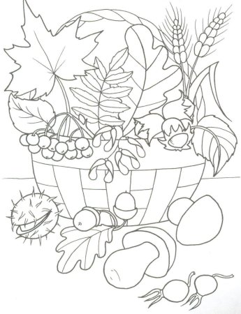 Осенний букет раскраска для детей