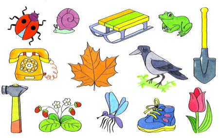 Картинки предметов