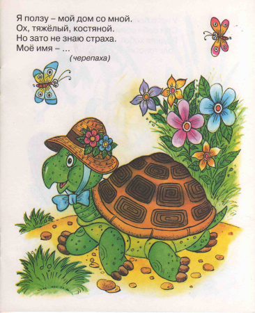 Загадка про черепаху для детей 4-5