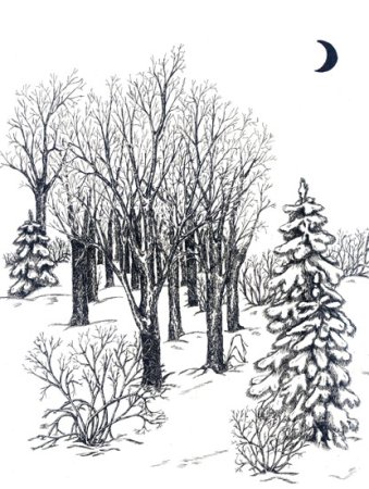 Графика зимнего леса