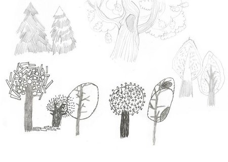 Зарисовки деревьев для детей
