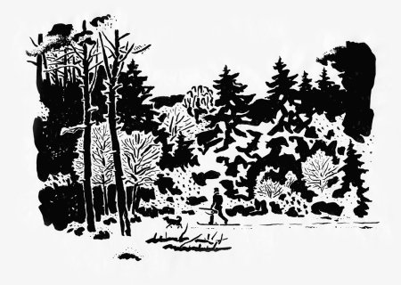 Лес Графика