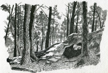 Пейзаж Графика