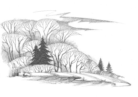 Силуэт березы